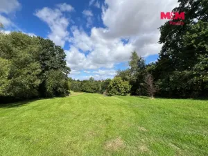 Prodej rybníku, Kostelec nad Černými lesy - Kostelec nad Černými Lesy, 16025 m2