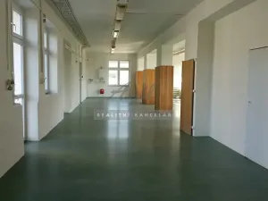 Pronájem výrobních prostor, Česká, 270 m2
