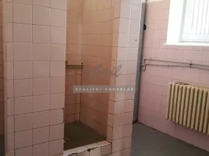 Pronájem výrobních prostor, Česká, 270 m2