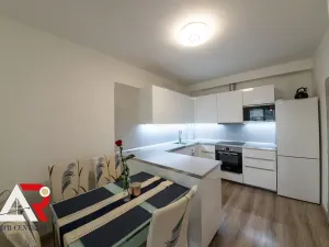 Prodej bytu 2+kk, Brno, Přadlácká, 49 m2