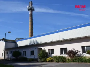 Prodej výrobních prostor, Miletín, Lhotova, 22000 m2