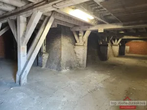 Pronájem skladu, Praha - Sedlec, Kamýcká, 100 m2