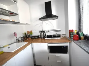 Prodej rodinného domu, Mikulovice, Hlucholazská, 417 m2