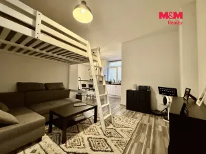 Pronájem bytu 1+kk, Ostrava - Moravská Ostrava, Zámecká, 44 m2