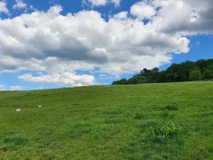 Prodej pozemku, Otmíče, 1239 m2