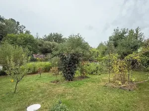 Prodej chaty, Horní Stropnice, 20 m2