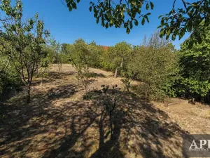 Prodej rodinného domu, Uherské Hradiště, Solná cesta, 150 m2