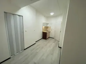 Pronájem bytu 1+kk, Praha - Hlubočepy, Na Zlíchově, 18 m2