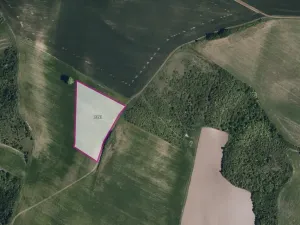 Prodej pole, Pouzdřany, 13380 m2