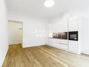 Pronájem bytu 2+kk, Praha - Vinohrady, Třebízského, 71 m2