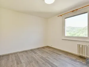 Prodej bytu 3+1, Ústí nad Labem, Na Výšině, 79 m2