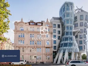 Pronájem bytu 2+1, Praha - Nové Město, Gorazdova, 57 m2