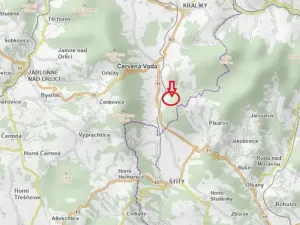 Prodej podílu lesa, Červená Voda, 5759 m2