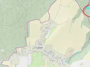 Prodej podílu lesa, Nová Hradečná, 6798 m2