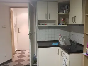 Pronájem bytu 1+kk, Praha - Podolí, Na Podkovce, 20 m2