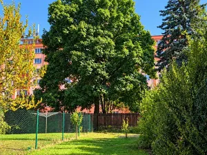 Prodej bytu 3+1, Plzeň, Nepomucká, 70 m2