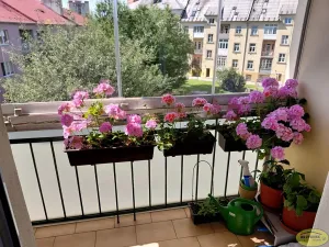 Prodej bytu 2+1, Kroměříž, Nádražní, 83 m2