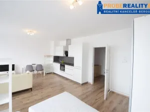 Pronájem bytu 1+kk, Beroun, Na Veselou, 42 m2