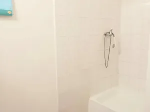Pronájem bytu 2+1, Praha - Vinohrady, 47 m2