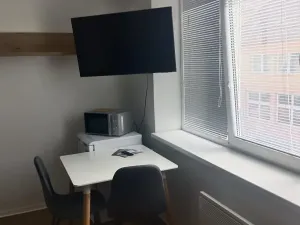 Pronájem bytu 1+kk, Přerov, 28 m2