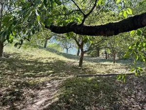 Prodej chaty, Jaroměřice, 64 m2