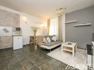 Pronájem bytu 2+kk, Plzeň, Francouzská třída, 39 m2