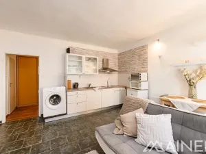 Pronájem bytu 2+kk, Plzeň, Francouzská třída, 39 m2