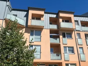 Prodej bytu 1+1, Karlovy Vary, Spálená, 50 m2