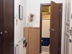 Prodej bytu 1+1, Praha - Vinohrady, Anny Letenské, 50 m2