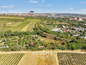 Prodej zahrady, Nový Šaldorf-Sedlešovice, 414 m2