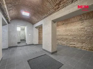 Pronájem komerční nemovitosti, Praha, Seifertova, 100 m2