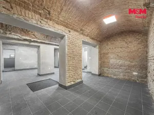 Pronájem komerční nemovitosti, Praha, Seifertova, 100 m2