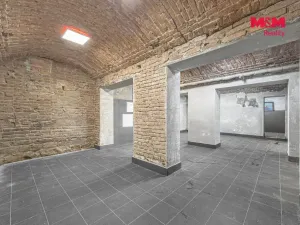 Pronájem komerční nemovitosti, Praha, Seifertova, 100 m2
