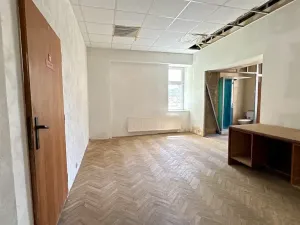 Prodej vily, Třešť, Palackého, 804 m2