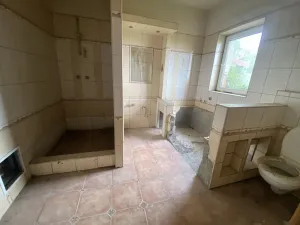 Prodej komerční, Žlebské Chvalovice, 1050 m2