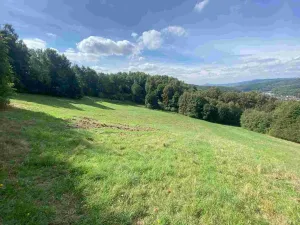 Prodej pozemku, Sobotín, 10593 m2