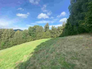 Prodej pozemku, Sobotín, 10593 m2