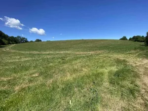 Prodej pole, Kájov - Křenov, 42289 m2