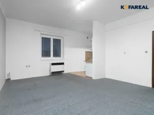 Pronájem bytu 1+kk, Dobřany, Přeštická, 50 m2