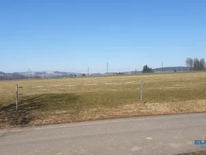 Prodej louky, Police nad Metují, 8790 m2
