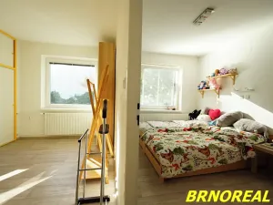 Prodej rodinného domu, Boskovice, Dukelská, 302 m2