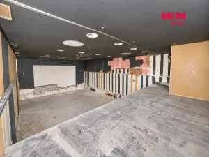 Pronájem obchodního prostoru, Jesenice, Budějovická, 237 m2