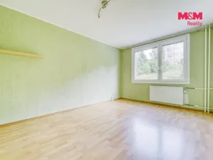 Pronájem bytu 1+1, Plasy, Potoční, 38 m2