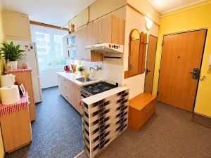 Prodej bytu 3+1, Sokolov, Slavíčkova, 69 m2