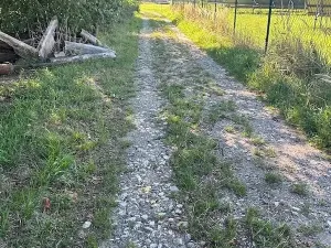 Prodej komerčního pozemku, Zhoř u Tábora, 11995 m2