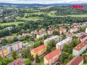 Prodej bytu 2+1, Tachov, Školní, 56 m2