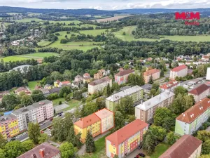 Prodej bytu 2+1, Tachov, Školní, 56 m2
