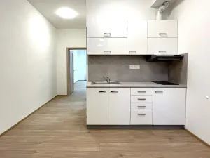 Pronájem bytu 2+kk, Brno, Cihlářská, 42 m2