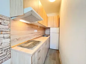 Pronájem bytu 1+kk, Hradec Králové - Plotiště nad Labem, 16 m2