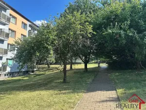 Pronájem bytu 1+1, Staré Město, Kopánky, 35 m2